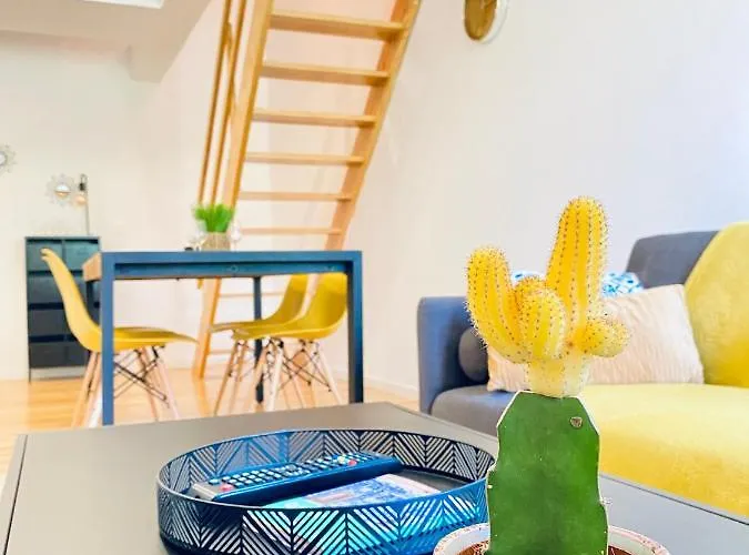 Porto Wine Loft Duplex With Swimming Pool Appartement *