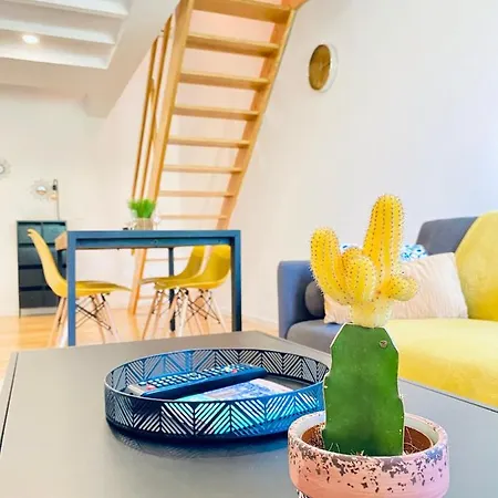 Porto Wine Loft Duplex With Swimming Pool דירה *