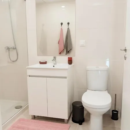 Porto Wine Loft Duplex With Swimming Pool *